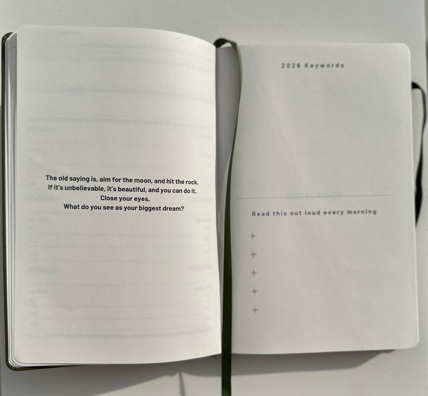 [30% off at checkout] Brindmind 2026 Journal - Olive