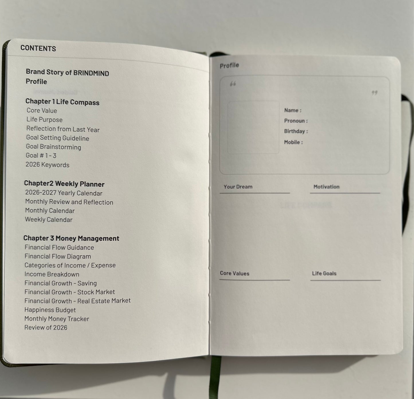 [30% off at checkout] Brindmind 2026 Journal - Olive